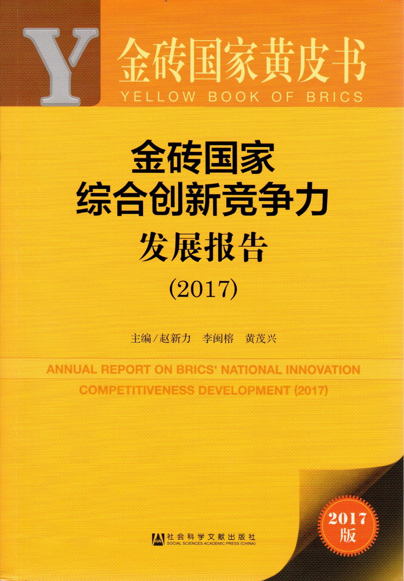 操逼视频色水水多导航金砖国家综合创新竞争力发展报告（2017）